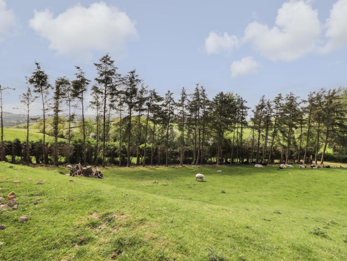 Ysgubor Fachwen Holiday home Newtown (Powys)